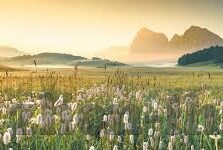 绿园足球直播比分-绿园足球直播比分，实时追踪，激情共享的数字盛宴