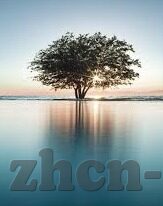 去澳门赌场玩法-澳门赌场玩法全解析
